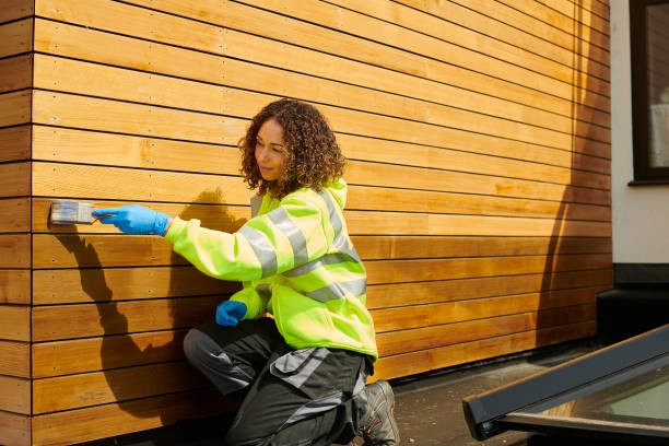 Best Insulated Siding Installation  in George, IA