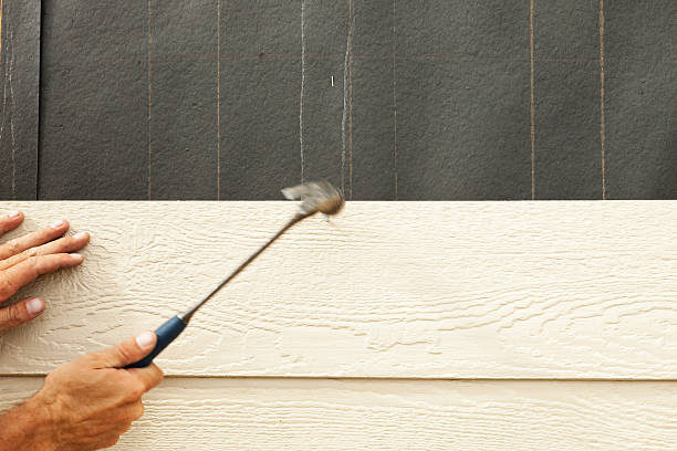 Best Stone Veneer Siding  in George, IA